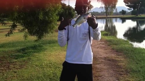 Frog And Drop Shotting Early Fall Bass