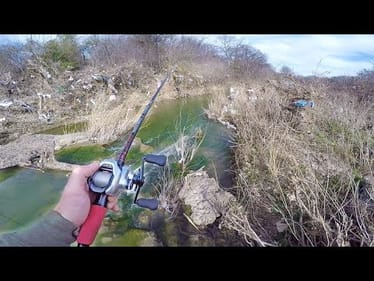 Trash Infested Creek Has Fish? (Urban Bass Fishing)