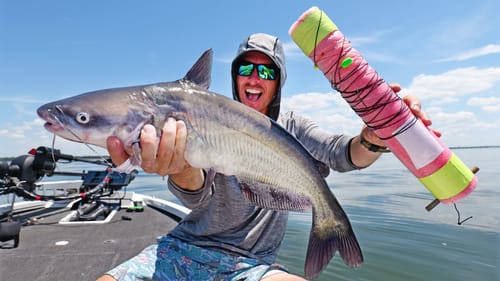 Jug Fishing Deep Summer Blue Catfish ( Catch & Cook )