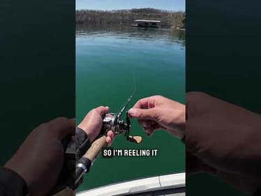 Want better swing head bites? Here are some tips to dial in your retrieve