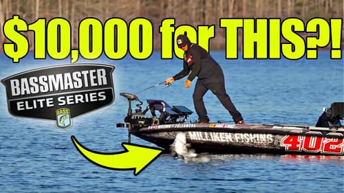 ONE BITE Can Change EVERYTHING!! Desperate for a COMEBACK!