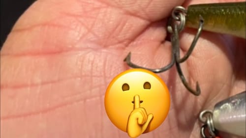 Learn To Master These Two Fall Topwater Lures…