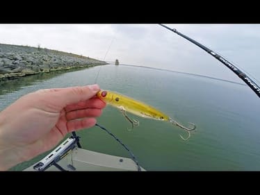 This Lure TRIGGERS Texas Fish Feeding Frenzy