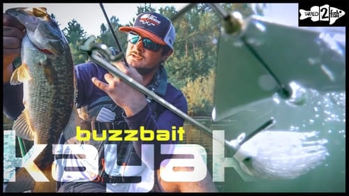 Find Fish Quickly With These Kayak Tackle Tips