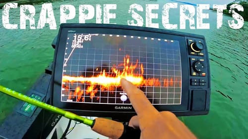 CRAPPIE FISHING SECRETS! How To MAKE THEM BITE! (Using Garmin Livescope)