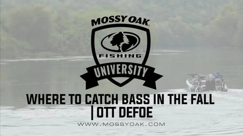 Where to Catch Bass in the Fall   Ott DeFoe Fishing Tips