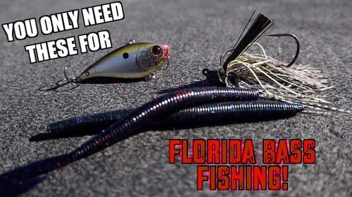 The 4 BEST Florida Bass Fishing Lures You NEED TO HAVE!