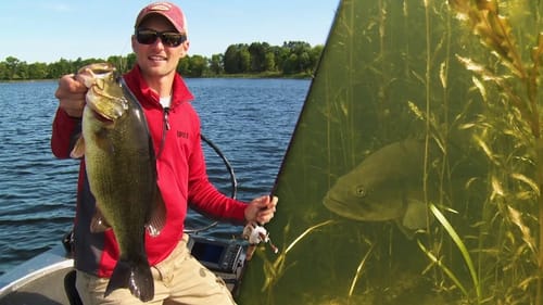 Flipping & Pitching Northern Bass in Heavy Grass