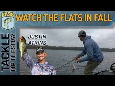 Activity on the FLATS in the Fall