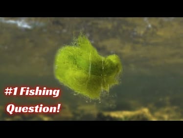 This Is The #1 Question I Get! It’s A Problem We All Have To Deal With.