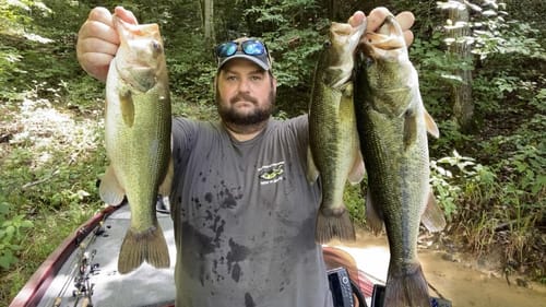 Soft Jerkbaits for Suspended Deep Bass