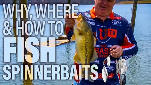 How to Fish Spinnerbaits - The Best Bass Lure Tips & Secrets