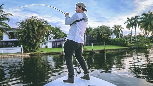 Catching Fish on Swimbaits, Topwaters and Live Bait