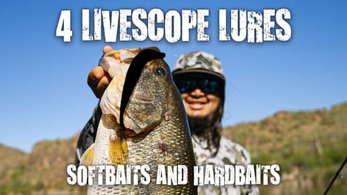 4 Under The Radar Baits That Will Elevate Your Livescope Game!!