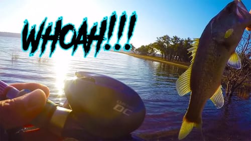 First Time Fishing With A Digital Reel | Curado DC 150XG | BASM