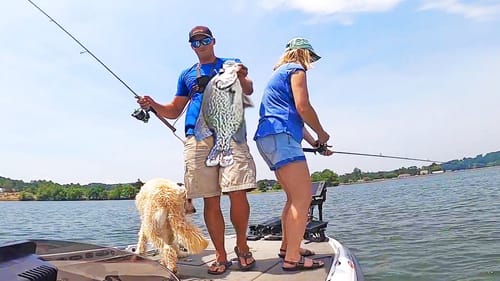 Crappie Fishing Brush Piles! (CATCHING SLABS ON JIGS)