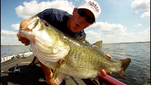 How to Fish Spoons for Bass