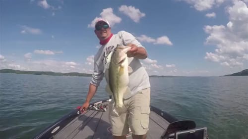 My First Fishing Trip with a new Deep Diving Crankbait