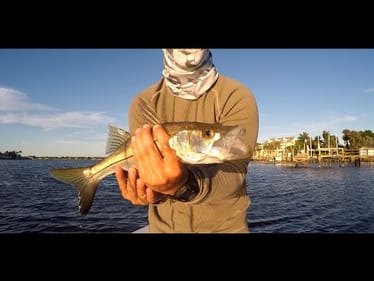 Dock Fishing Tips