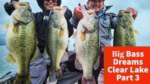Swim Jigs and Underspins for a 29lb Bag - Big Bass Dreams Clear Lake 2020 Part 3
