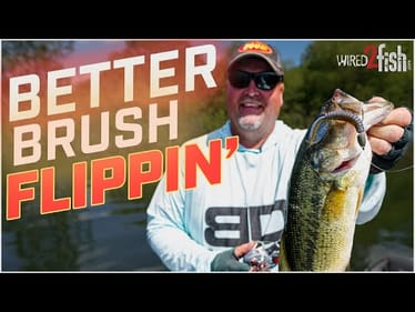 Lawyer's Proven Flipping Strategy for Shallow Brush