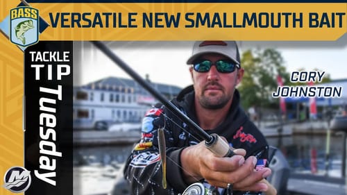 Cory Johnston's versatile new bait for northern smallmouth (Dropshot and Ned Rig)