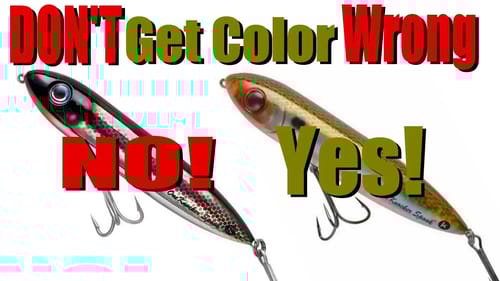Choose The RIGHT Color In TOUGH Conditions