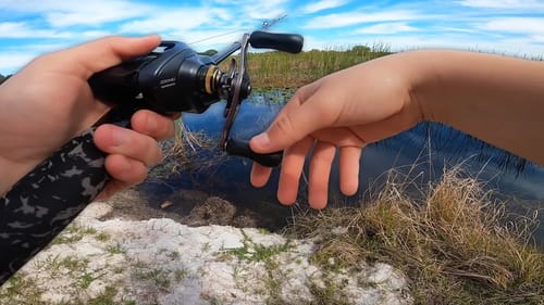 Found a NEW POND!