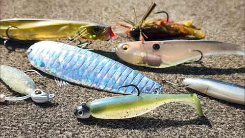 Junk Fishing Tricks For Summer Bass Fishing!