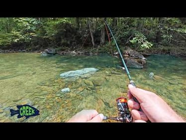 Creek Ultralight Fishing, Then This Happened...GIVEAWAY!