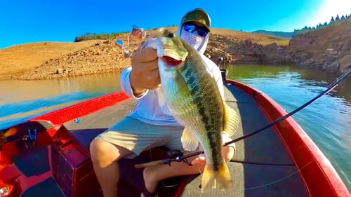 Catching Summer Bass on Topwater Buzzbaits!! | I Couldn’t Put This Bait Down!!