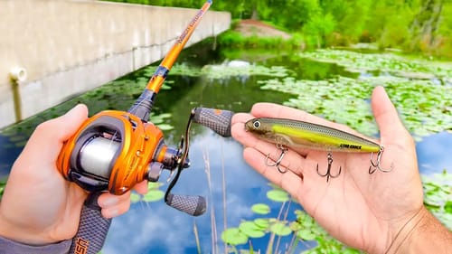 RECORD Day of TOPWATER Fishing! (LOADED w/ GIANT Bass)