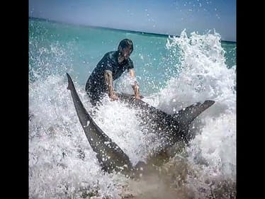 BASS ANGLERS CATCH A SHARK! 10 FOOT FLORIDA HAMMERHEAD!