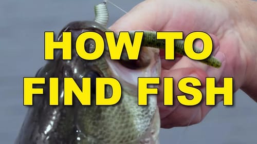 How To Find Fish | Bass Fishing