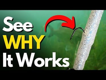 #1 Vegetation Fishing Technique Bass Anglers MUST Try (Underwater Proof)