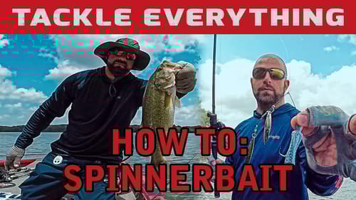 Watch This Before You Throw Your Next Spinnerbait