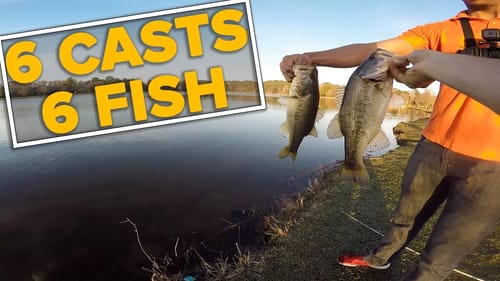 Pond Fishing - 6 Casts... 6 Fish...