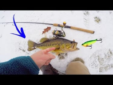 This Lure Saved The Day! -- Snowy Winter Fishing Madness