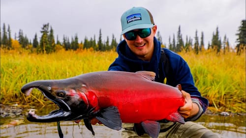 Accidentally Catching GIANT Fish