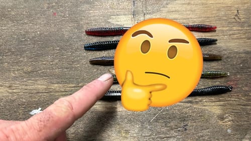 It Took Me 25 Years To Develop THIS Unbeatable Plastic Worm Technique…
