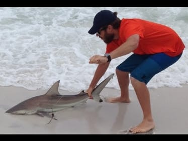 Beach Shark Fishing
