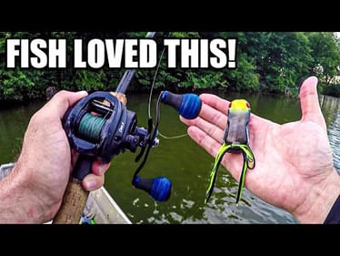 Late Summer Frog Fishing | Megabass Big Gabot