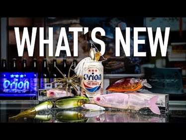 What's New This Week!! Respect, RAIDiculous BENtos, Megabass Restock, Deps And More!!
