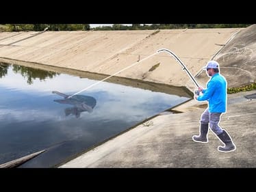 GIANT Fish are TRAPPED in this CONCRETE PIT!!! (BIGGEST in 5 YEARS!)
