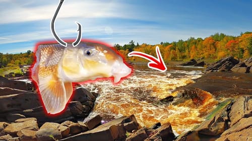 MONSTERS of the River are LOADED in this Ultra-Deep Hole!!! (So many fish!)