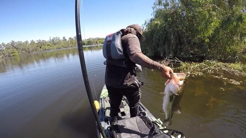 Hot Summer Day Kayak Bass Fishing
