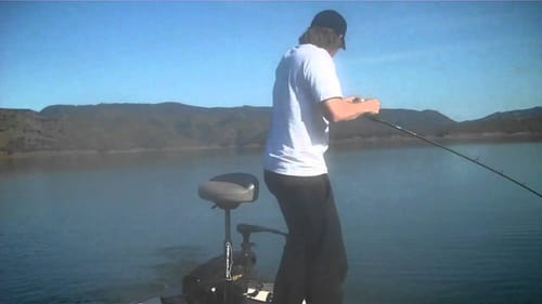 Bass inhales a swimbait