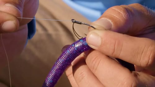 4 Neko Rig Hacks That Produce Results