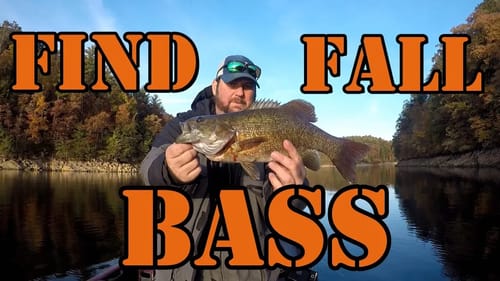 How to Find Fish In the Fall