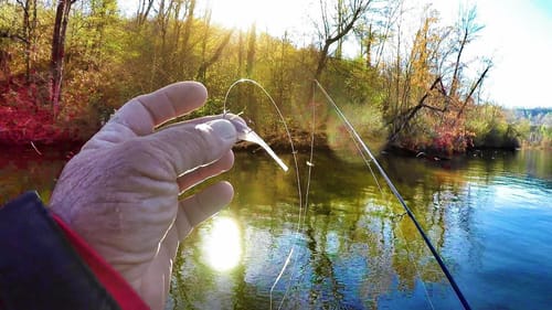 Trees Are LOADED With SLABS!!! Crappie Fishing Tips and Techniques
